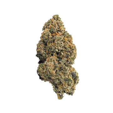Watermelon Burst Strain Review | Watermelon Burst Strain Details