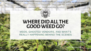 Where Did All the Good Weed Go? | Dank Budz