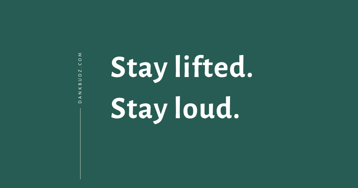 Stay Lifted | Cannabis Quote