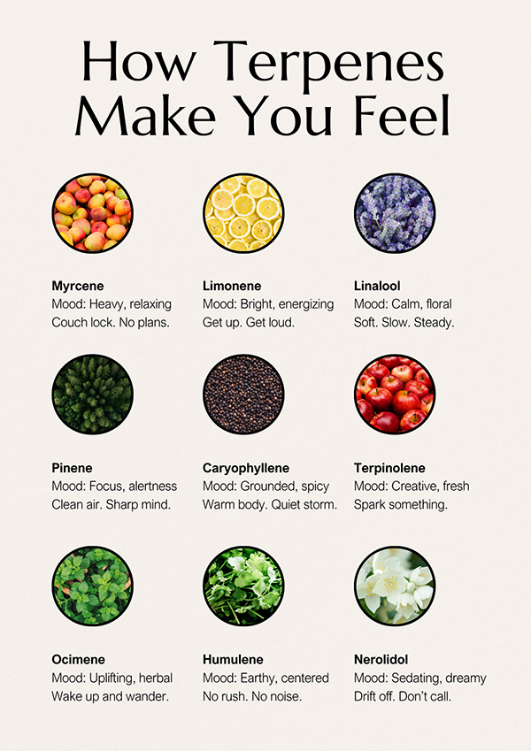 Terpene Effect & Mood Guide Poster