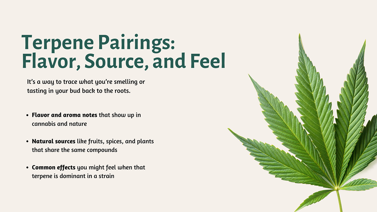 Terpene Pairings