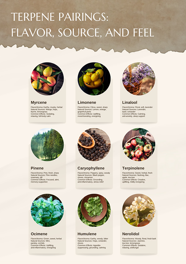 Terpene Pairings Poster