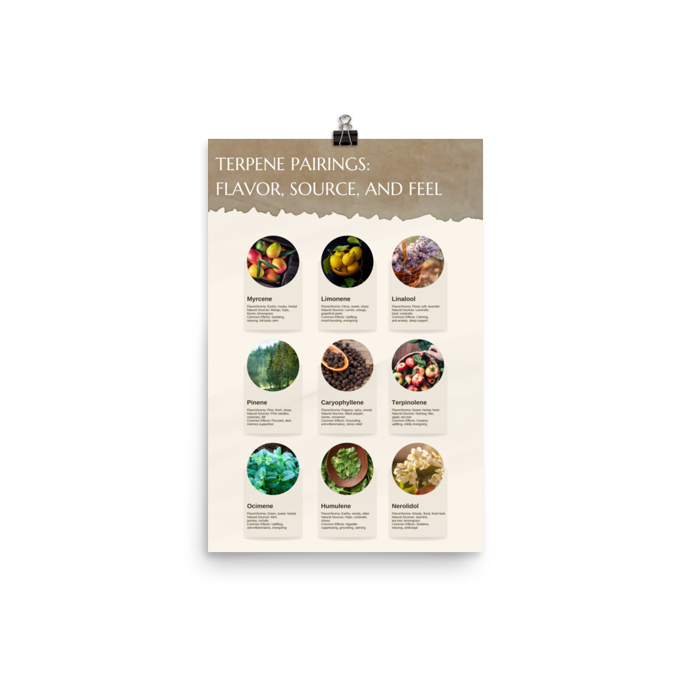 Terpene Pairings Poster