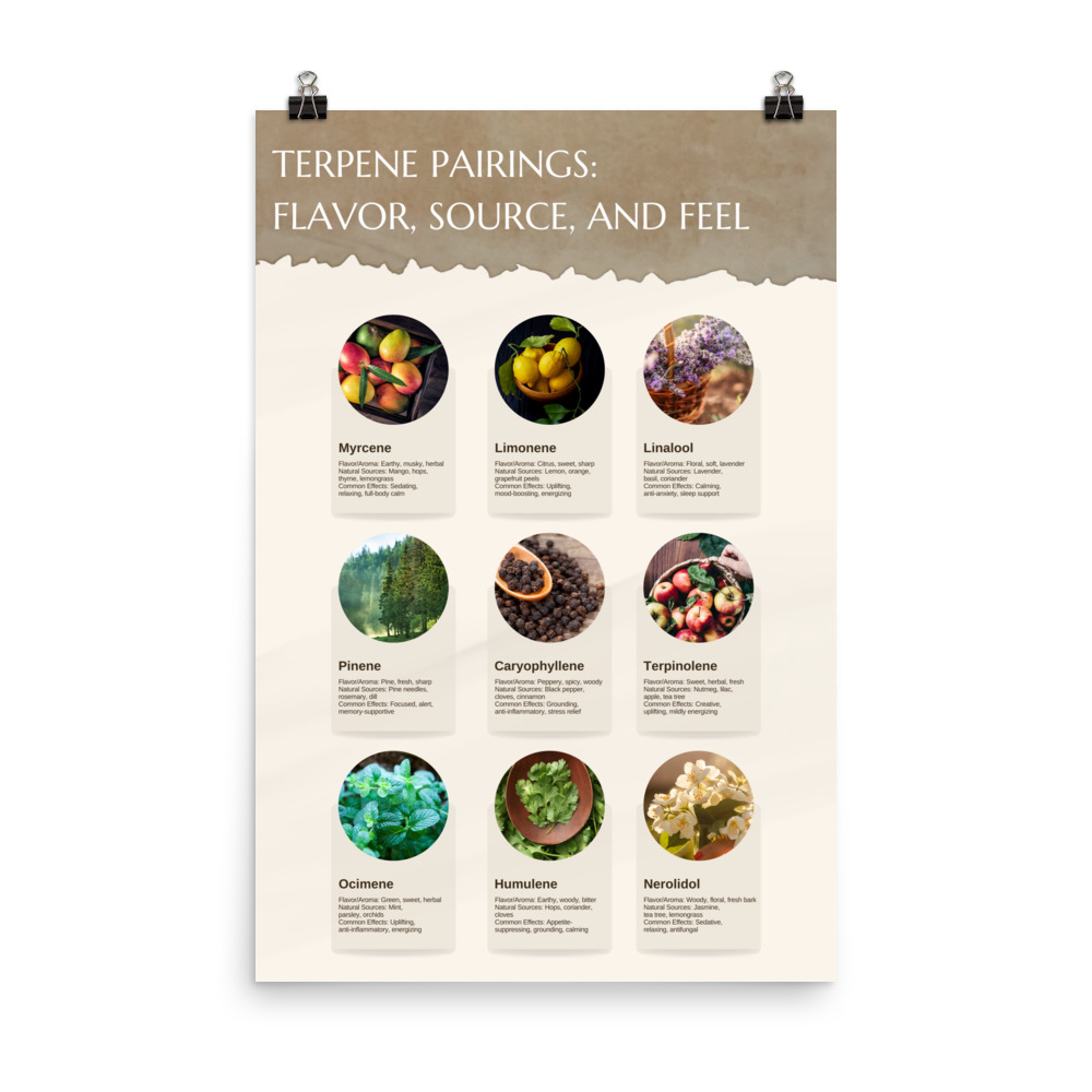 Terpene Pairings Poster - Image 2