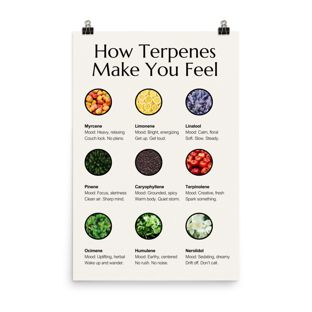 How Terpenes Make You Feel poster