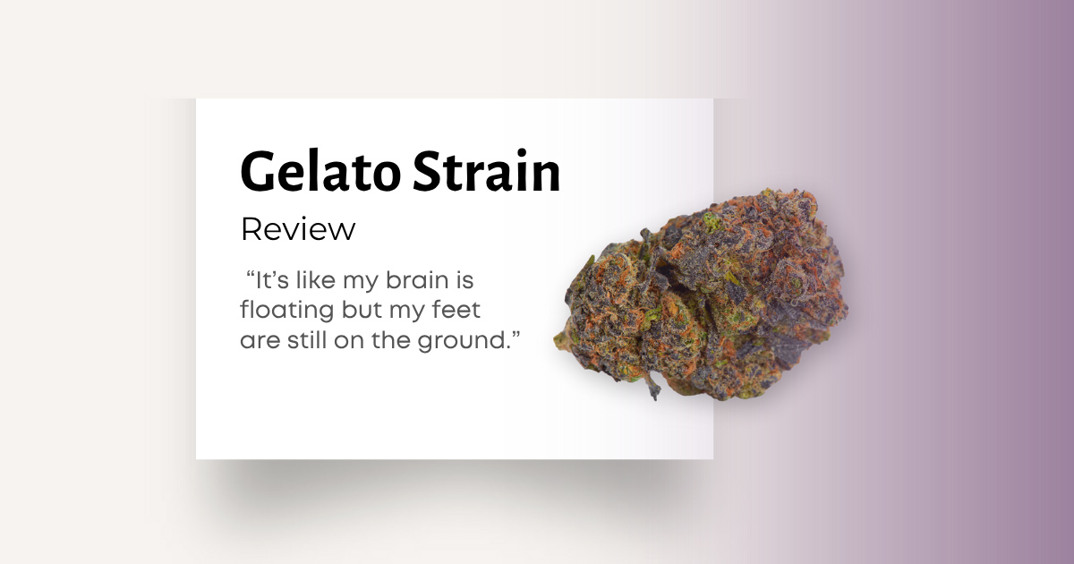 Gelato Strain Review