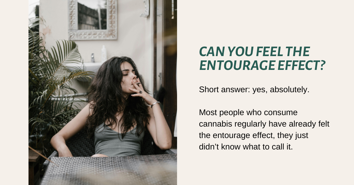 Can You Feel the Entourage Effect?