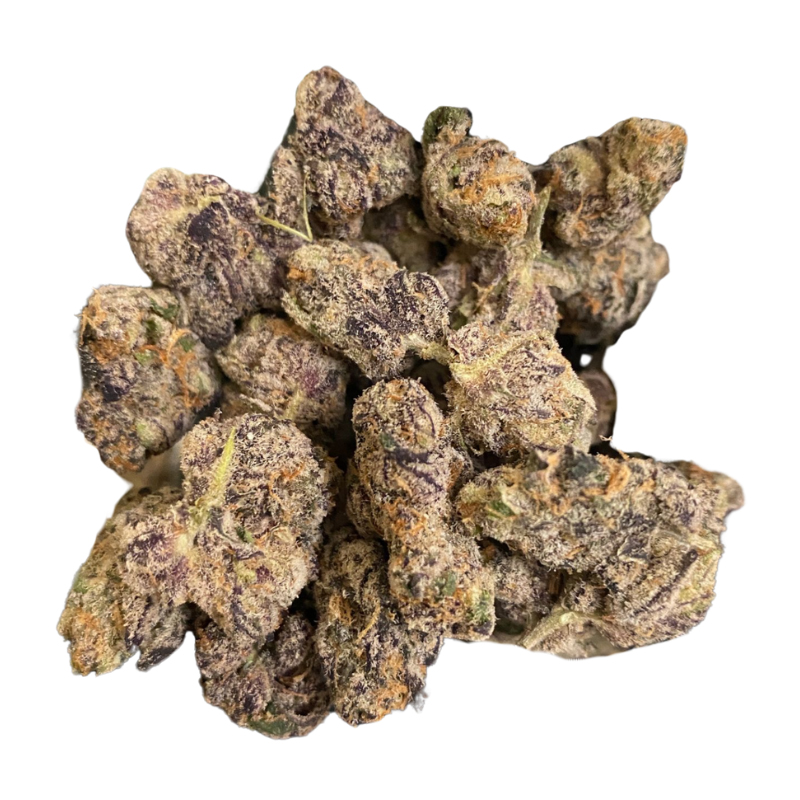 Biscotti Bx1 Strain